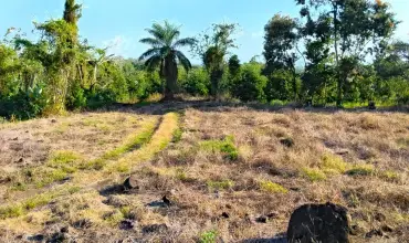 Agricultural Farm for Sale in the Meseta of Boqueron , MESETA DE BOQUERON, Chiriqui, 24494