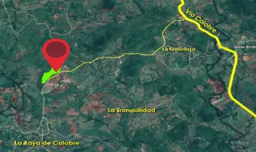 Finca Ideal para siembra de Cana en la Raya de Calobre, Veraguas , UBICADA A MENOS DE UN KILOMETRO DE LA VIA A CALOBRE A MANO IZQUIERDA, Veraguas, 15848