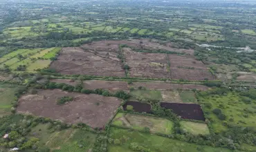 Venta de Finca plana en Siogui, Bugaba, Chiriqui , 108 VIA A DE BUGABA A SANTO TOMAS, Chiriqui, 24970