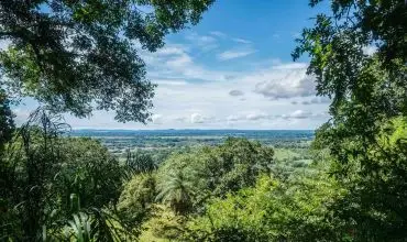 Se vende un Extenso Terreno en Las Lomas, David , LAS LOMAS, DAVID CHIRIQUI, Chiriqui, 25044