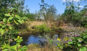 Se Vende Terreno De 15.5 Hectareas, Pocri / Paritilla, Las Tablas , VIA EL CRISTO, POCRI, Los Santos, 25064