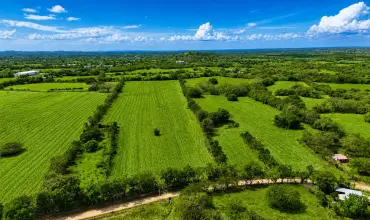 Se Vende terreno agricola de 9 Hectareas en Los Santos , LAS TABLAS, NEAR CHITRE, LOS SANTOS, Los Santos, 25197