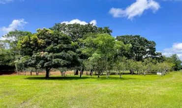 Terreno en Venta en Potrerillos Abajo, Dolega , POTRERILLOS ABAJO, DOLEGA, Chiriqui, 25220