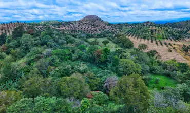 55.74 Hectareas de Paraiso en las Montanas , VOLCAN, BUGABA, Chiriqui, 25350