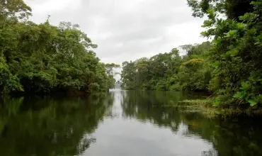 Finca en venta a orillas de Lago Gatun, Colon , EL LIMON, Colon, 25461