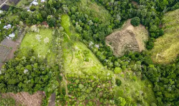Finca Cafetalera en Venta en Potrerillos Arriba , POTRERILLOS ARRIBA, DOLEGA, CHIRIQUI, Chiriqui, 25467