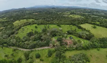 Se Vende Terreno para Desarrollo Residencial en El Trapichito, La Chorrera , GLOBO B, CALLE PRINCIPAL LAS YAYAS, EL TRAPICHITO, HERRERA, LA CHORRERA, Panamá Oeste, 25680