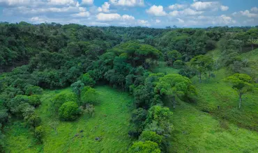 Naturaleza, Espacio y Potencial en un Solo Lugar , PALMA REAL, GUAYABAL, VIA SANTA RITA, Chiriqui, 25694