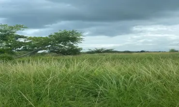 Terreno 5.4 HA en Coloncito de Nueva Gorgona. , NUEVA GORGONA COLONCITO, Panamá Oeste, 25755