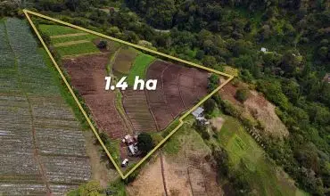 Tierras montanosas en Boquete, Panama , ALTO QUIEL, LOS NARANJOS, DISTRITO DE BOQUETE, Chiriqui, 25873