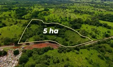 Terrenos agricolas cerca de David Panama , CALLE COCHEA ABAJO, BARRIADA COCHEA ABAJO, Chiriqui, 25877