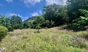 AMPLIO TERRENO DE MONTANA EN LA LAGUNA , SN ALTOS DEL MAMEY LA LAGUNA, Panamá Oeste, 25890