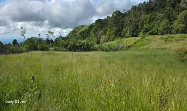 LOTE PLANO EN AREA NATURAL , CALLE DOLEGA, BARRIADA ROVIRA, Chiriqui, 25905