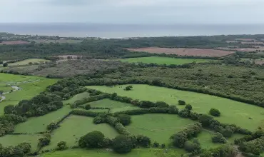 Venta Finca 9.8 Hectareas en Las Tablas , LAS TABLAS, Los Santos, 25927