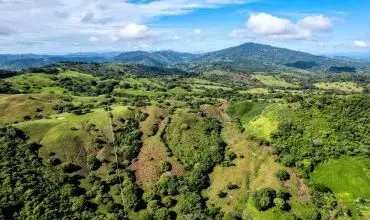 Finca de 29 Ha en Palmira Las Tablas Los Santos Panama , 0 LOS SANTOS, LAS TABLAS, PALMIRA, Los Santos, 23994