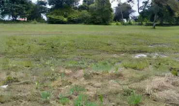 Venta de Terreno en Coronado , CORONADO, PALMERAS DEL GOLF, Panamá Oeste, 25983