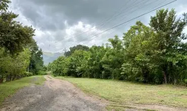 Venta de Terreno en Gorgona , s/n GORGONA, Panamá Oeste, 25986