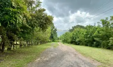 Venta de Terreno 1 en Gorgona , s/n GORGONA, Panamá Oeste, 25985