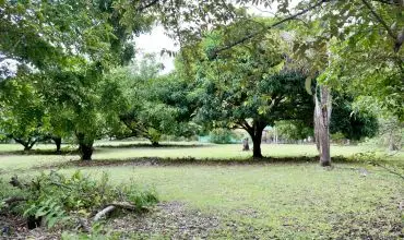 Venta de Terreno en Gorgona , s/n GORGONA, Panamá Oeste, 25987
