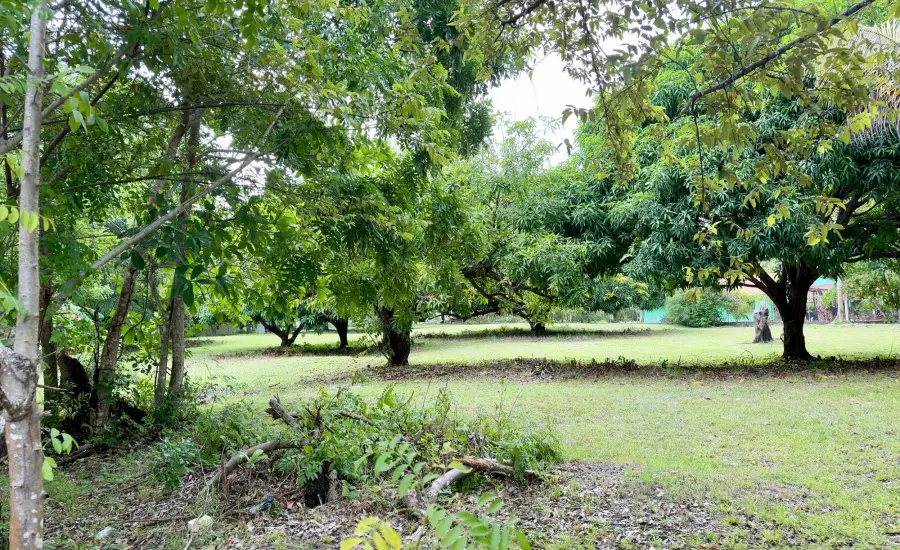 Venta de Terreno en Gorgona , s/n GORGONA, Panamá Oeste, 25987