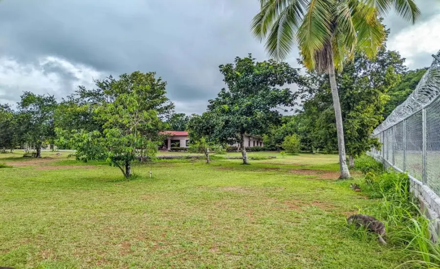 Terreno a pie de carretera con 2,906 m&sup2; en Dolega , LOS ANASTACIOS ROAD, DOLEGA, CHIRIQUI PROVINCE, Chiriqui, 26003