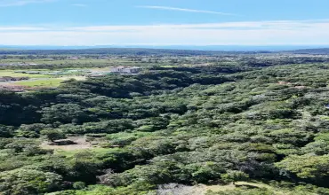 Terreno de 6,9 ha junto a Boquete Country Club &mdash; Venta de globo entero , PROPRIEDAD 6.9HA AL LADO DE COUNTRY CLUB, Chiriqui, 26053