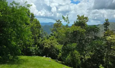 LOTE DE MONTANA, CHICA CAMPANA AMPLIAS VISTA AL MAR Y MONTANAS , CHICA DISTRITO DE CAPIRA PANAMA OESTE, Panamá Oeste, 26058