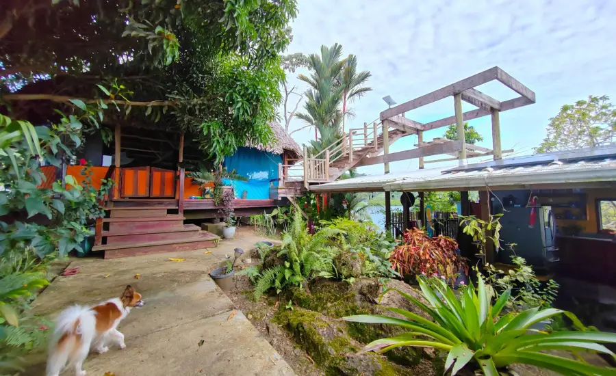 Isla privada, Isla Joya , ISLA LA JOYA, Bocas del Toro, 26072