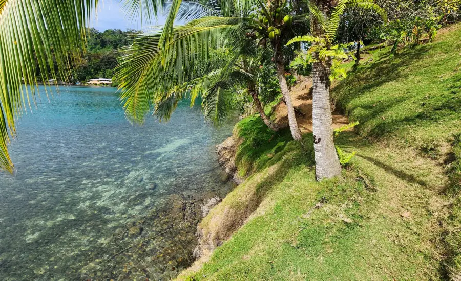 Isla privada, Isla Joya , ISLA LA JOYA, Bocas del Toro, 26072