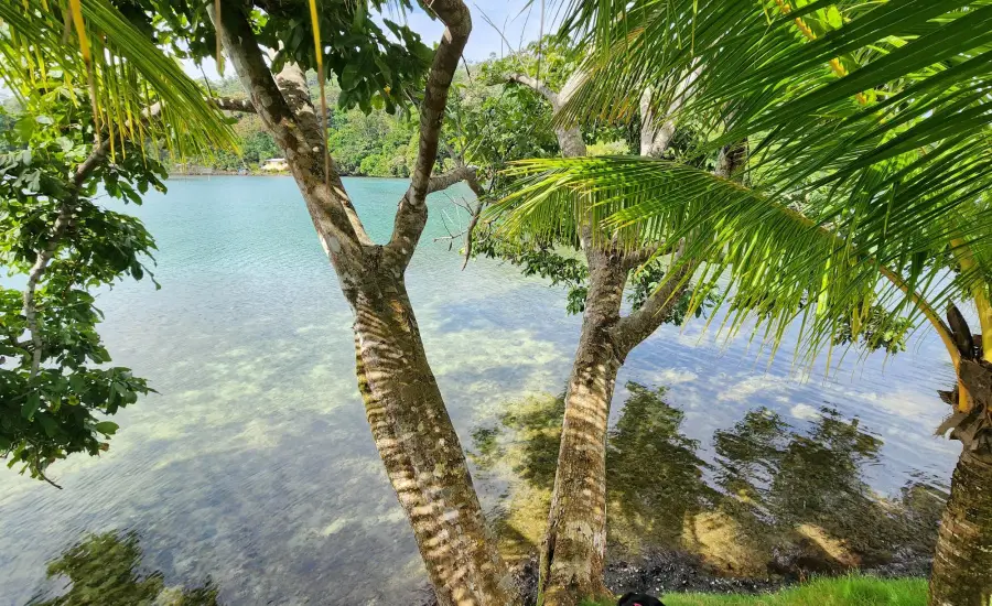 Isla privada, Isla Joya , ISLA LA JOYA, Bocas del Toro, 26072