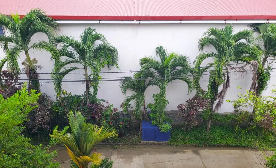 Alegre condominio en Isla Colon , LAS CABANAS ISLA COLON, Bocas del Toro, 26070