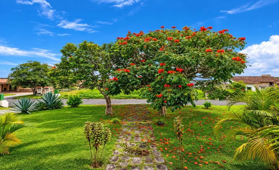Se Vende Amplia Casa de 3 Recamaras en Boquete , 0 CHIRIQUI, BOQUETE COUNTRY CLUB, G41, Chiriqui, 26076