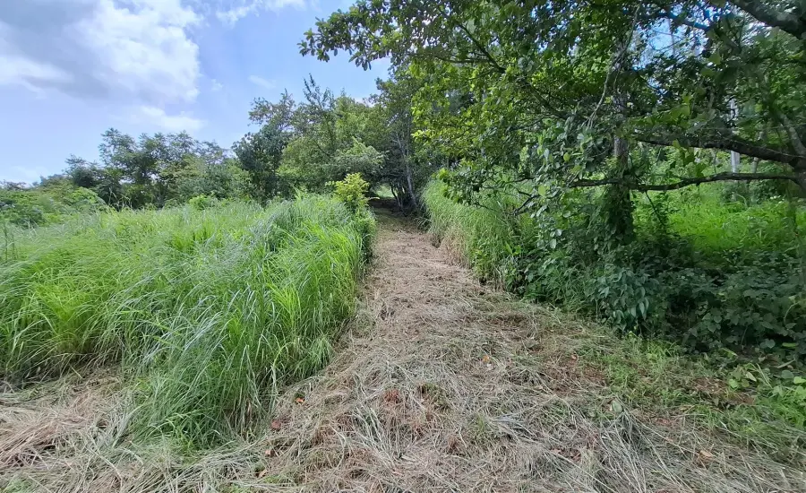 CHAME/BEJUCO TERRENO EN VENTA , BEJUCO, Panamá Oeste, 26075