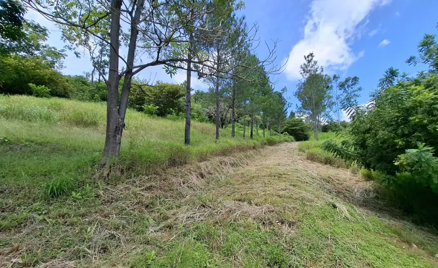 CHAME/BEJUCO TERRENO EN VENTA , BEJUCO, Panamá Oeste, 26075