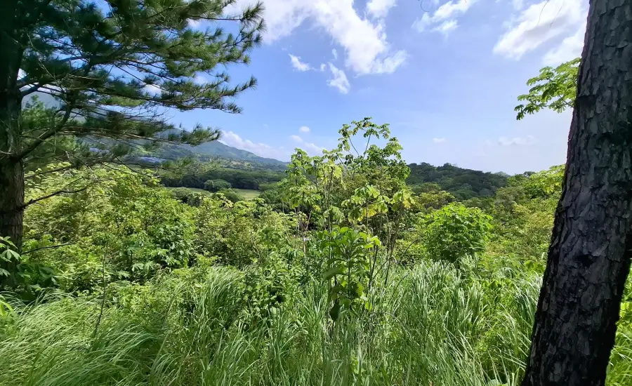 CHAME/BEJUCO TERRENO EN VENTA , BEJUCO, Panamá Oeste, 26075