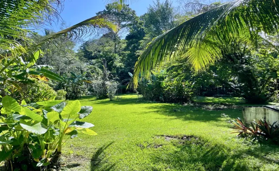 Hermosa Casa Tropical con Cabana para Huespedes y Piscina. , BIG CREEK, ISLA COLON, BOCAS DEL TORO, Bocas del Toro, 26085