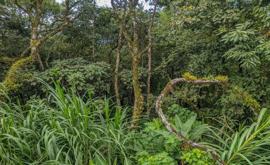 Terreno con vista a la montana en venta en Volcancito, Boquete , VOLCANCITO, BOQUETE, CHIRIQUI, Chiriqui, 26087