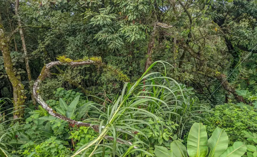 Terreno con vista a la montana en venta en Volcancito, Boquete , VOLCANCITO, BOQUETE, CHIRIQUI, Chiriqui, 26087