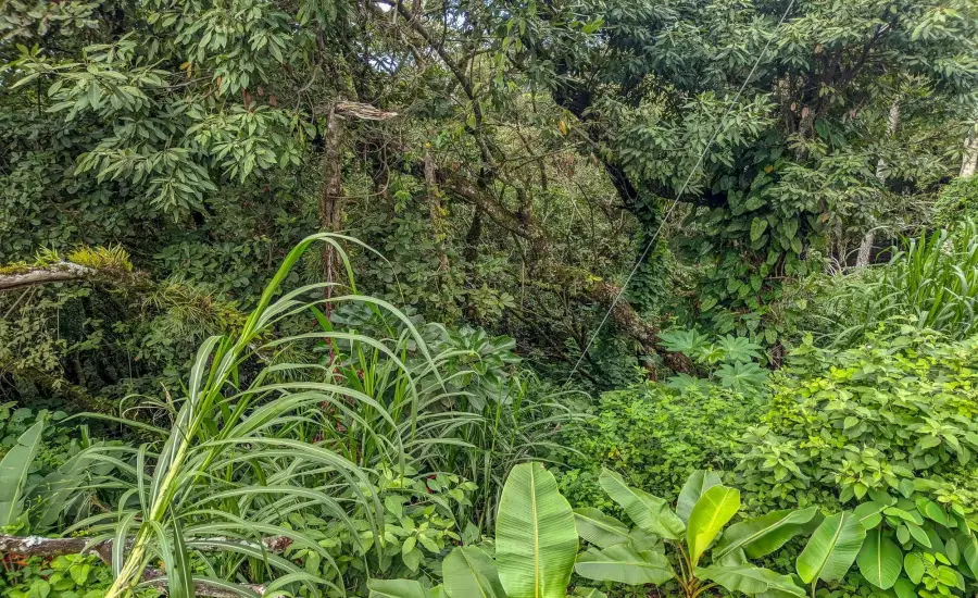 Terreno con vista a la montana en venta en Volcancito, Boquete , VOLCANCITO, BOQUETE, CHIRIQUI, Chiriqui, 26087