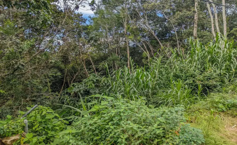 Terreno con vista a la montana en venta en Volcancito, Boquete , VOLCANCITO, BOQUETE, CHIRIQUI, Chiriqui, 26087