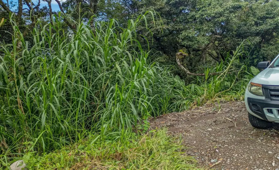 Terreno con vista a la montana en venta en Volcancito, Boquete , VOLCANCITO, BOQUETE, CHIRIQUI, Chiriqui, 26087