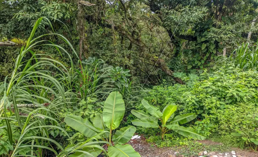 Terreno con vista a la montana en venta en Volcancito, Boquete , VOLCANCITO, BOQUETE, CHIRIQUI, Chiriqui, 26087