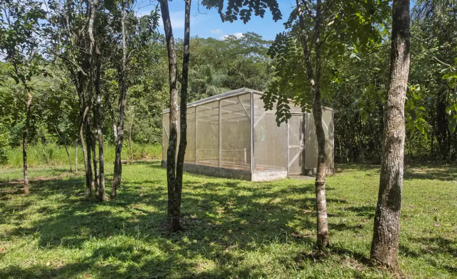 Finca Autosuficiente De 10 Ha En Venta Cerca De Boquete , 0 CHIRIQUI, GUALACA, PAJA DE SOMBRERO, Chiriqui, 26091