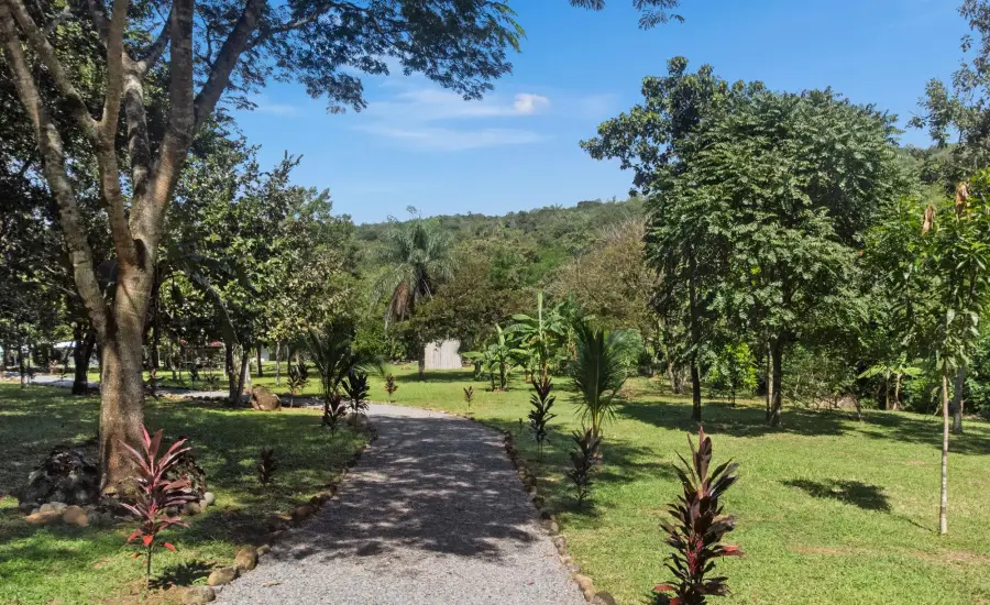 Finca Autosuficiente De 10 Ha En Venta Cerca De Boquete , 0 CHIRIQUI, GUALACA, PAJA DE SOMBRERO, Chiriqui, 26091