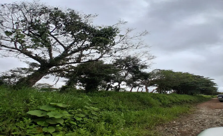 Finca con tierra negra, pasto, clima fresco y bien ubicada. , EL BANCO DE ROVIRA POTRERILLOS CHIRIQUI, Chiriqui, 26093