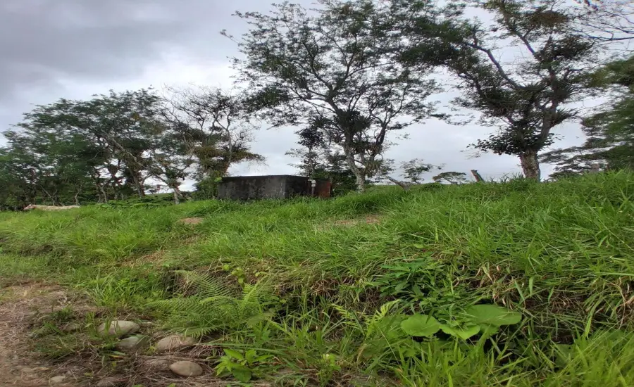 Finca con tierra negra, pasto, clima fresco y bien ubicada. , EL BANCO DE ROVIRA POTRERILLOS CHIRIQUI, Chiriqui, 26093