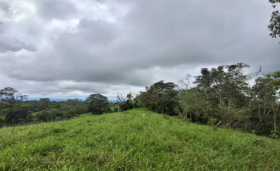 Finca con tierra negra, pasto, clima fresco y bien ubicada. , EL BANCO DE ROVIRA POTRERILLOS CHIRIQUI, Chiriqui, 26093