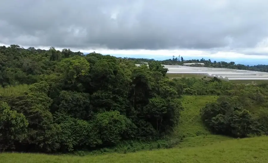 Finca con tierra negra, pasto, clima fresco y bien ubicada. , EL BANCO DE ROVIRA POTRERILLOS CHIRIQUI, Chiriqui, 26093
