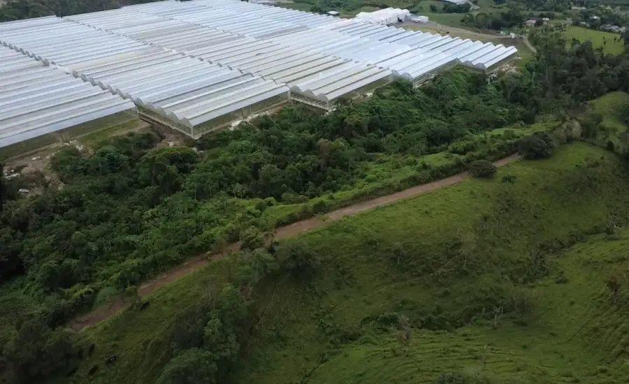 Finca con tierra negra, pasto, clima fresco y bien ubicada. , EL BANCO DE ROVIRA POTRERILLOS CHIRIQUI, Chiriqui, 26093
