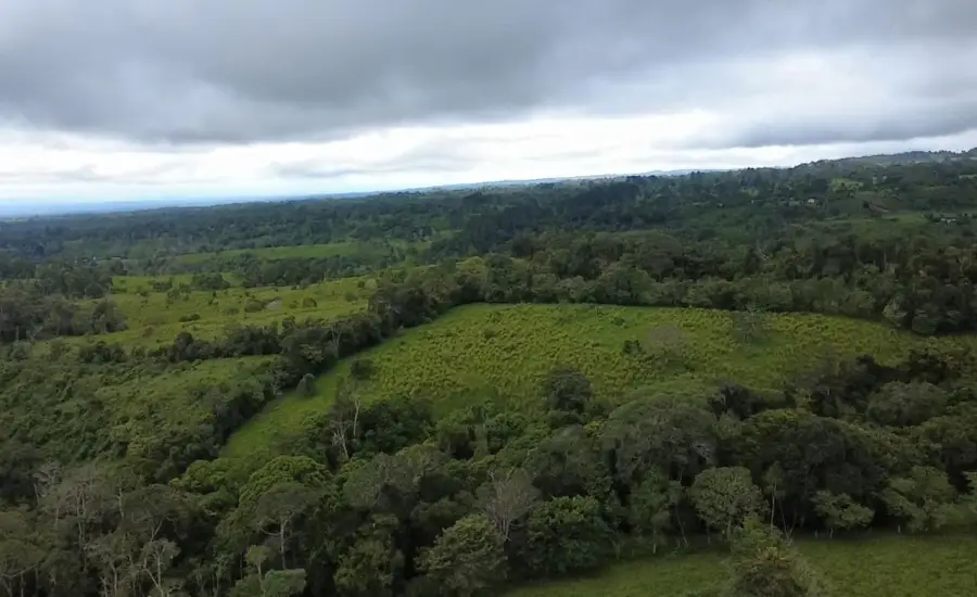 Finca con tierra negra, pasto, clima fresco y bien ubicada. , EL BANCO DE ROVIRA POTRERILLOS CHIRIQUI, Chiriqui, 26093